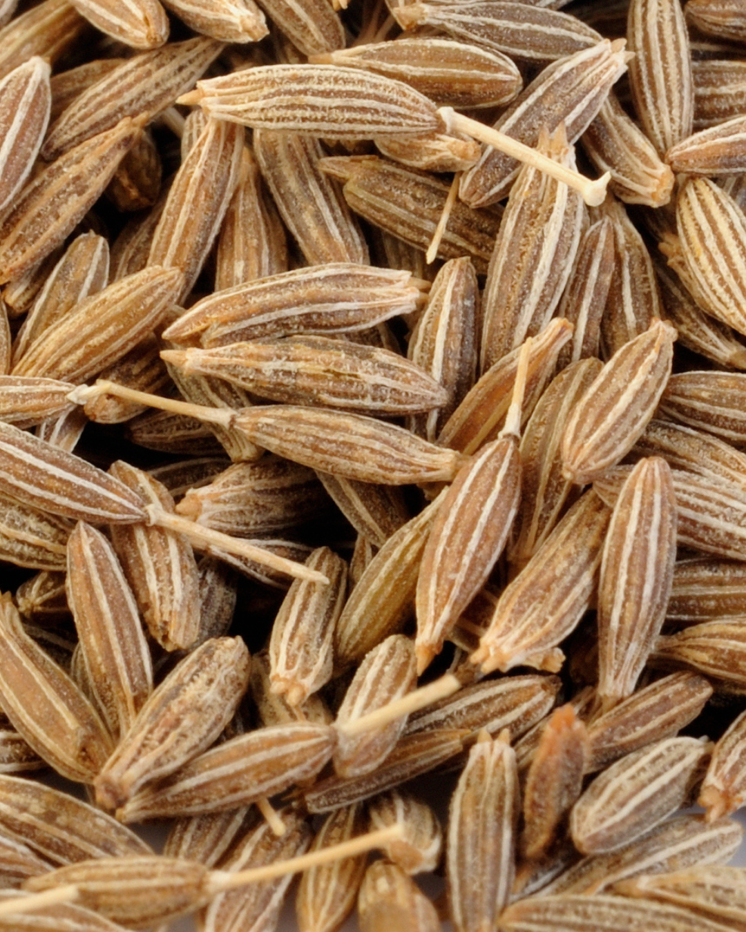Ajwain