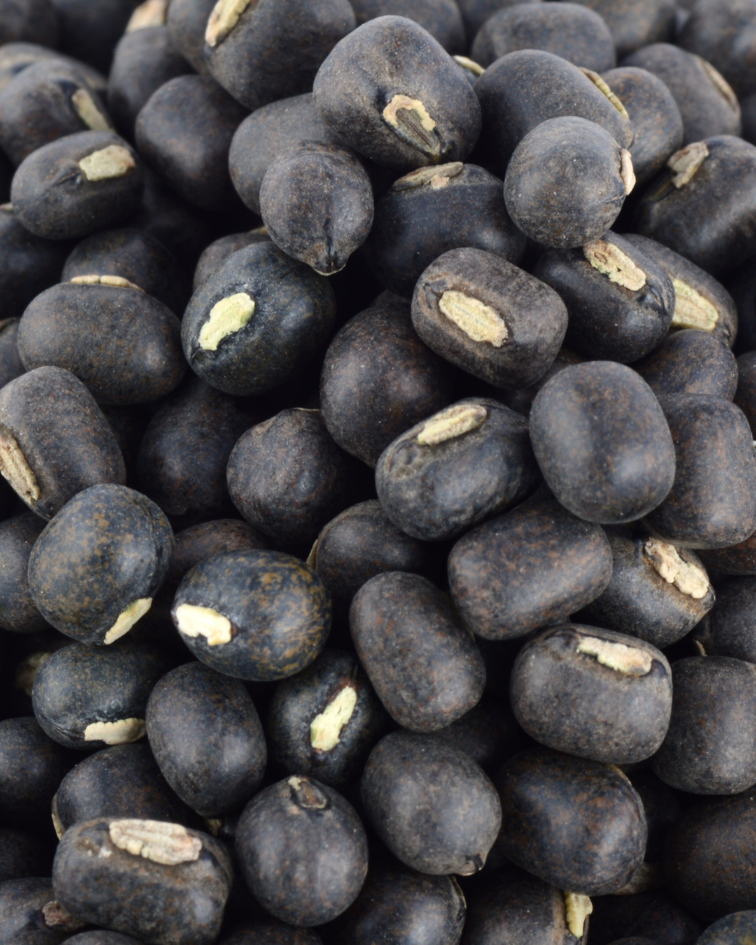 Black Gram