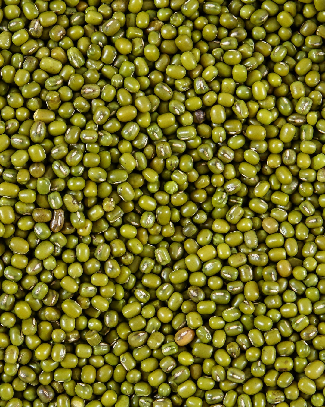 Moong/ Green Gram
