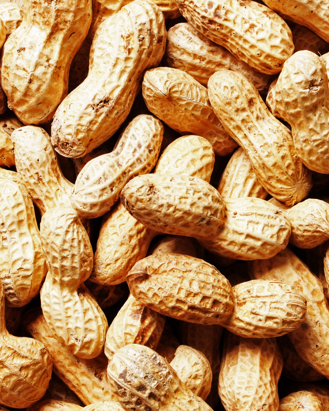 Ground Nut