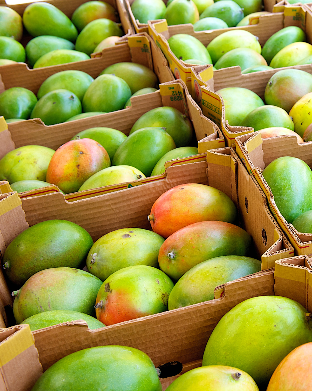 Mango
