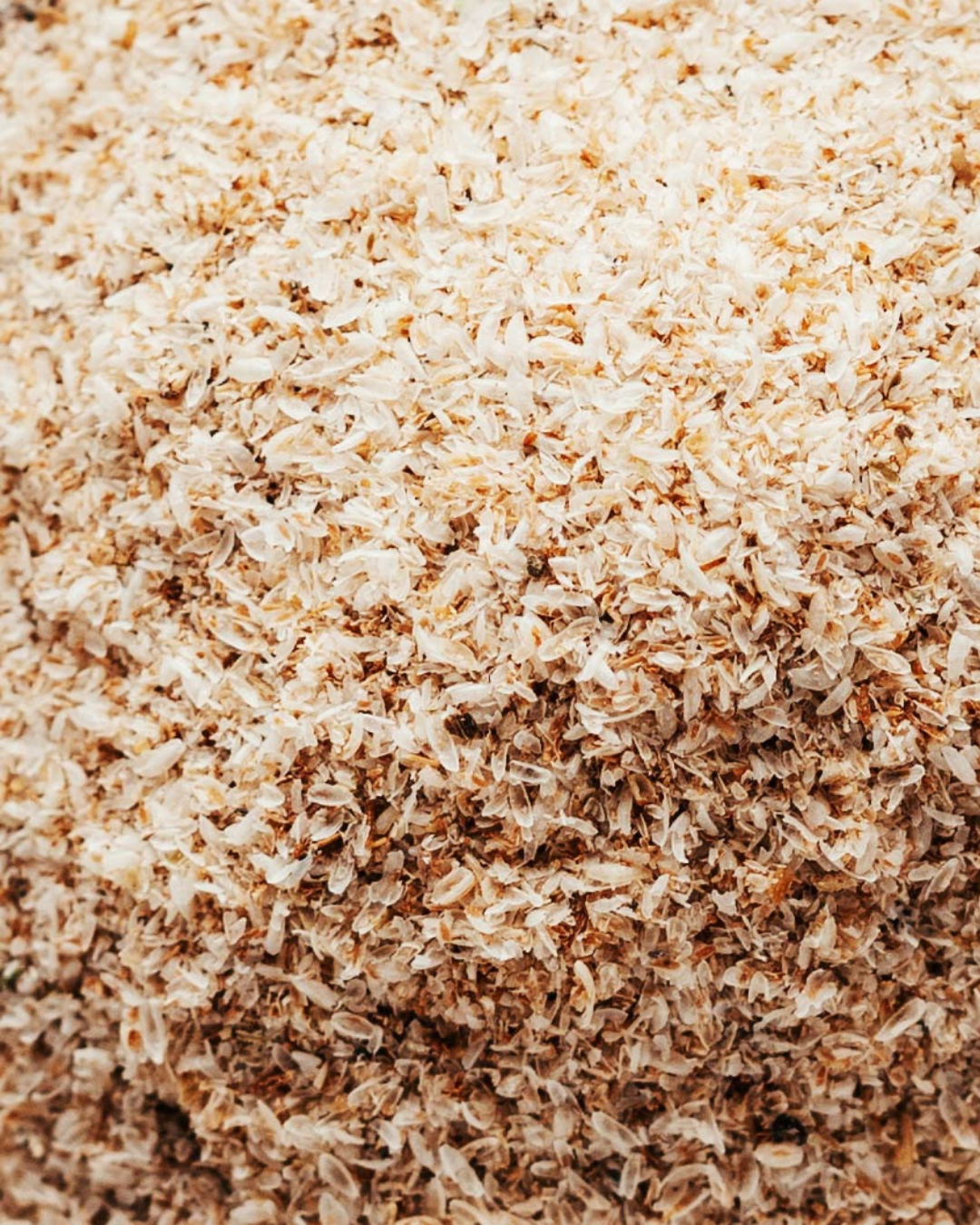 Isabgol/Psyllium
