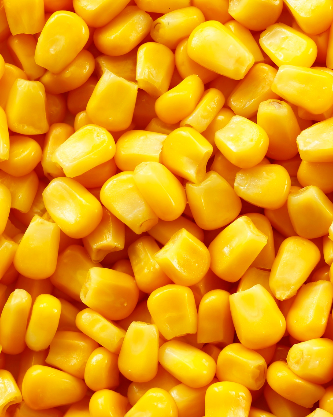 Maize